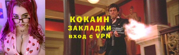индика Арсеньев