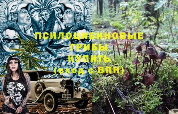 2c-b Аркадак