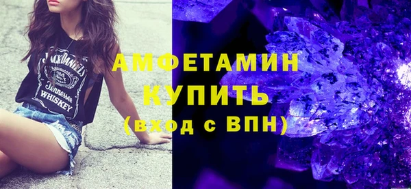 индика Арсеньев