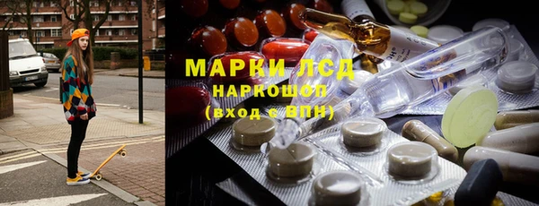 индика Арсеньев