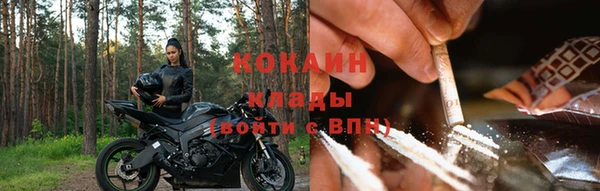 индика Арсеньев