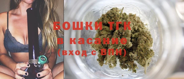 индика Арсеньев