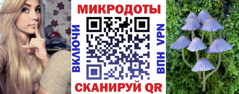 OMG ТОР  Озёры  Псилоцибиновые грибы GOLDEN TEACHER 